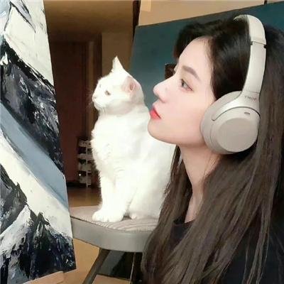 女作家与谋杀案第十季
